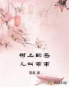 树上的鸟儿叫乖乖