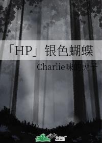 「HP」银色蝴蝶